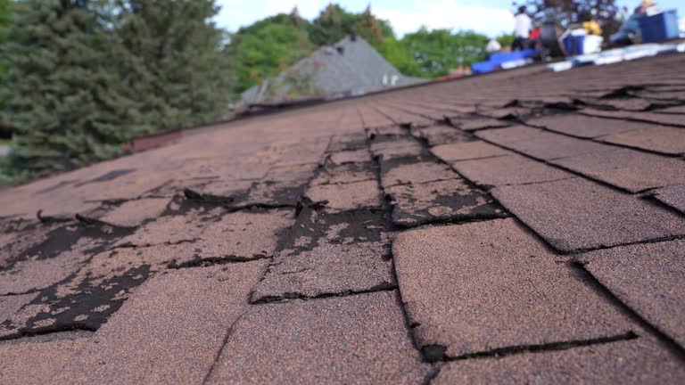 Roof Coating Services in Colfax, IL
