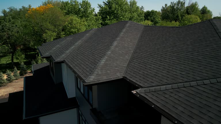 Best Steel Roofing  in Colfax, IL