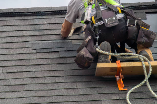 Asphalt Shingles Roofing in Colfax, IL