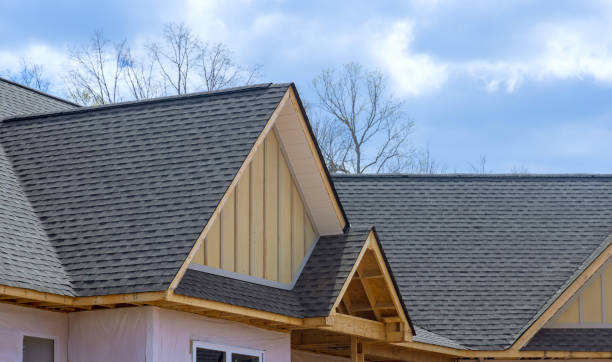 Best Roof Maintenance and Cleaning  in Colfax, IL