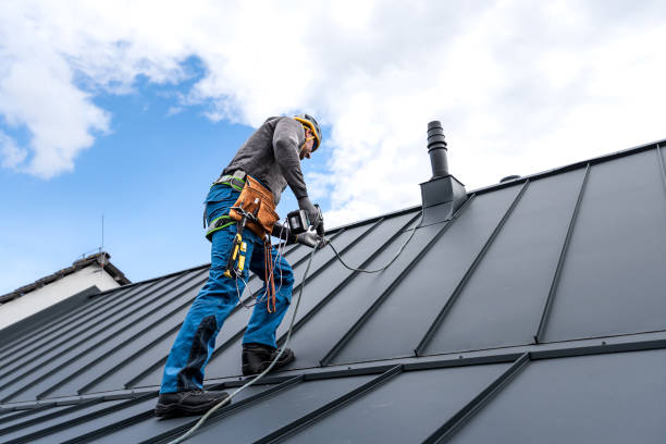 Best Chimney Flashing Repair  in Colfax, IL