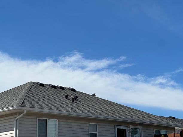 Gutter Replacement in Colfax, IL