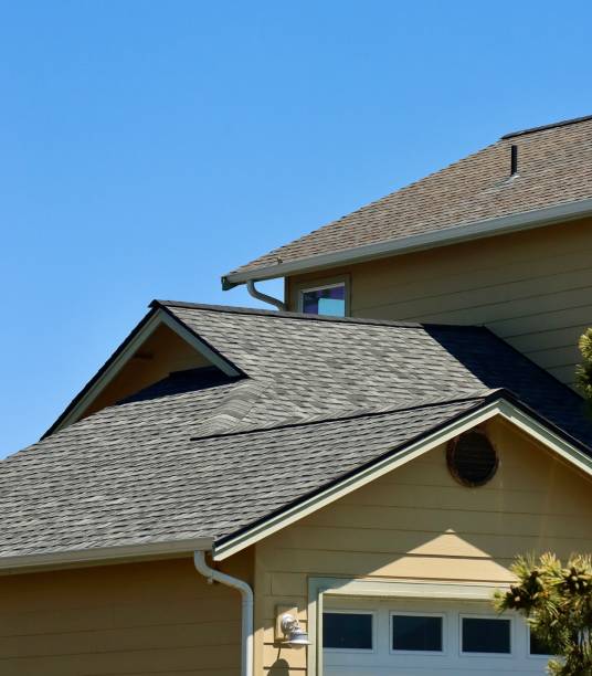 Best 4 Ply Roofing  in Colfax, IL